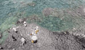 Khóm sấy Đồng Din 1