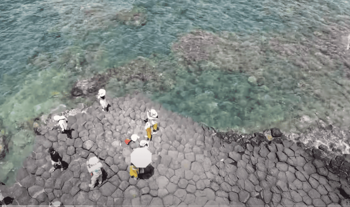 Ảnh tiêu đề Khóm sấy Đồng Din