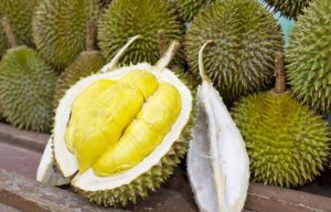 Sầu riêng Ngũ Hiệp và hương vị nức lòng người 7