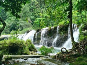 Thác Mơ Tuyên Quang: Viên Ngọc Ẩn Mình Giữa Rừng Nguyên Sinh 17
