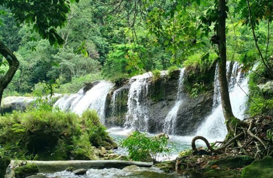 Thác Mơ Tuyên Quang: Viên Ngọc Ẩn Mình Giữa Rừng Nguyên Sinh 15