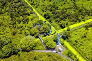 Khám Phá Rừng U Minh Hạ: Thiên Nhiên Hoang Sơ và Lịch Sử Cách Mạng 65