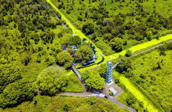 Khám Phá Rừng U Minh Hạ: Thiên Nhiên Hoang Sơ và Lịch Sử Cách Mạng 10