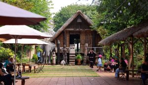 Nhà dài cộng đồng  17