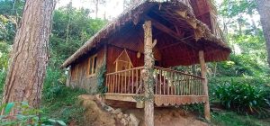Gió Lào Eco Lodge – Trải Nghiệm Sinh Thái Giữa Đảo Chè Thanh Chương 5