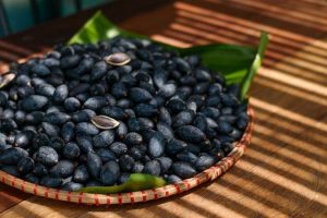 Trám đen - sản vật quý của Hà Châu 15