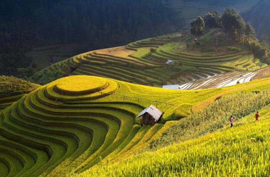 Chinh phục Đèo Mã Pì Lèng: Hành trình đến Tứ Đại Đỉnh Đèo Tuyên Quang 8