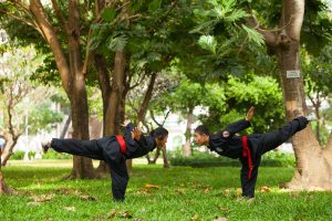 Di sản văn hóa phi vật thể quốc gia Võ Lâm Tân Khánh Bà Trà - Nét văn hóa đặc sắc của cư dân Bình Dương 15