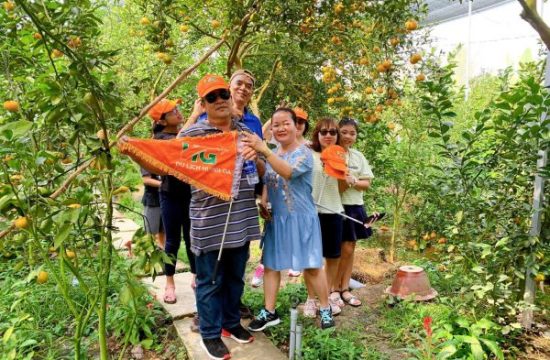 tour đồng tháp 1 ngày