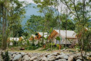 Một Ngày Ở Trong Rừng Glamping 11
