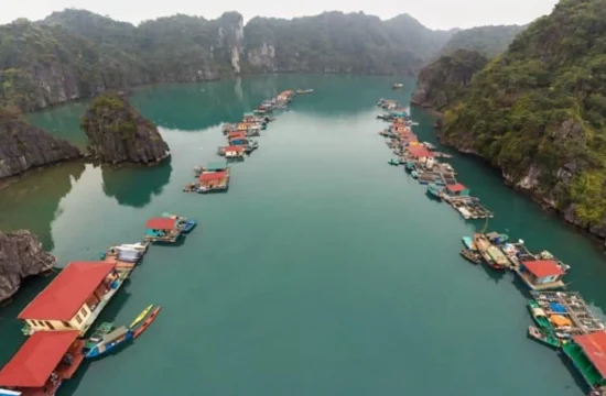 Nghỉ dưỡng giữa kỳ quan thiên nhiên thế giới: Tour 3N2Đ khám phá Hạ Long – Vịnh Bái Tử Long – Làng chài Cửa Vạn 7