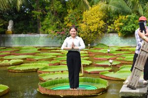 Vãn cảnh chùa Lá Sen, chiêm ngưỡng “vua” của các loại sen khổng lồ 79