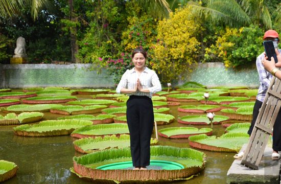Vãn cảnh chùa Lá Sen, chiêm ngưỡng “vua” của các loại sen khổng lồ 23