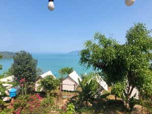 Hải Vân Xanh Glamping – Ẩn mình giữa rừng núi Hải Vân, nơi nghỉ dưỡng độc đáo cho tín đồ khám phá 3
