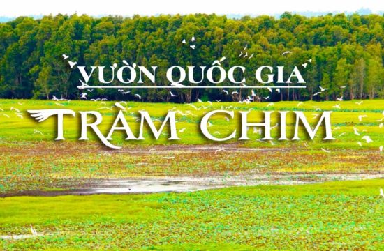 Lịch Trình cho tour Đồng Tháp 3 ngày 2 đêm 9