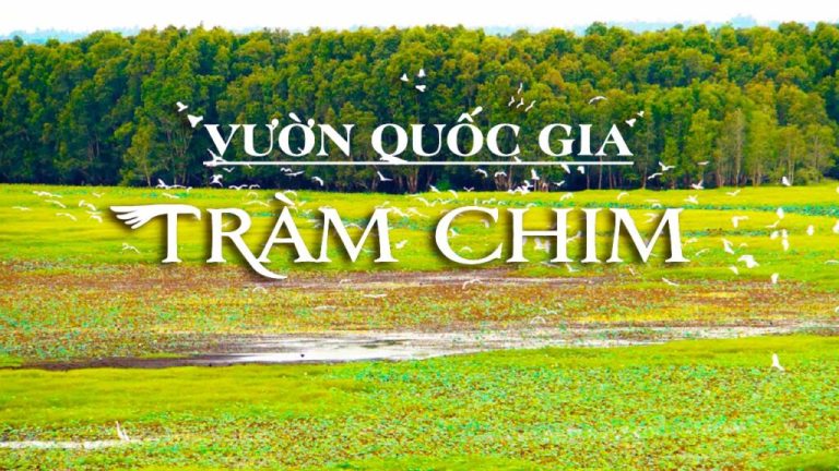 Lịch Trình cho tour Đồng Tháp 3 ngày 2 đêm
