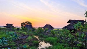 Việt Mekong Farmstay 3