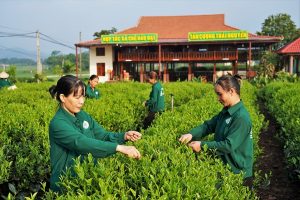 Tour ghép đoàn Hồ Ba Bể – Động Hua Mạ – Thác Tát Mạ – 2 ngày 1 đêm 9