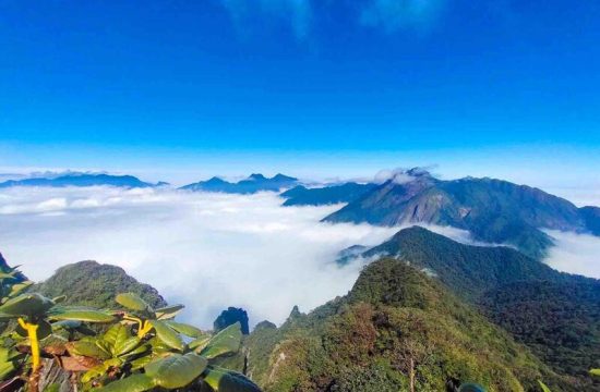 Trekking Tả Liên Sơn: Chinh phục miền đất nở hoa 39