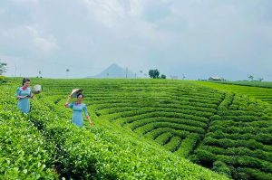 Tour trọn gói Hà Nội – Hồ Núi Cốc (Thái Nguyên) 1 ngày 1