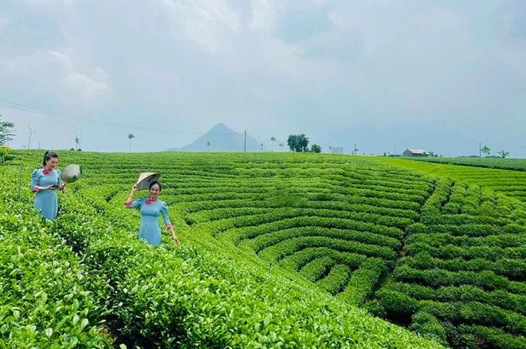 4N3Đ khám phá trọn vẹn Thái Nguyên