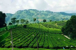 Tổng hợp Tour du lịch tự lái khám phá Lai Châu 13