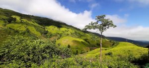 Mường Nhé – Viên ngọc xanh giữa đại ngàn Tây Bắc 13