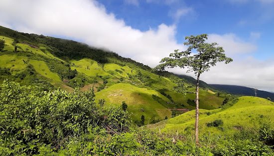 Mường Nhé – Viên ngọc xanh giữa đại ngàn Tây Bắc 3