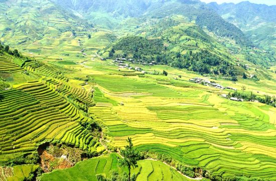 Tour du lịch Mù Cang Chải - Lào Cai 17