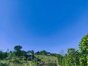 Năm mùa Bungalow 17