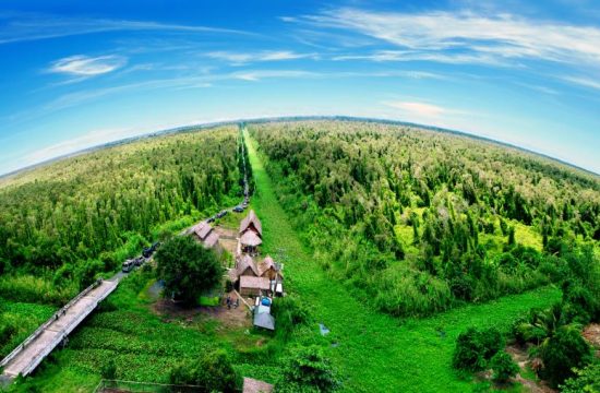 Lịch Trình Du Lịch Cà Mau 3 Ngày 2 Đêm: Khám Phá Đất Mũi và Những Di Sản Văn Hóa Miền Tây 7