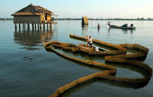 Tour Trọn Gói 6 Ngày 5 Đêm | Lướt Cano Rừng Đước – Check-in Cực Nam Tổ Quốc 11