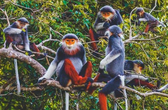 Lịch trình 4 ngày 3 đêm: Trải Nghiệm Sinh Thái & Khám Phá Nét Hoang Sơ Ninh Bình (Mới) 1