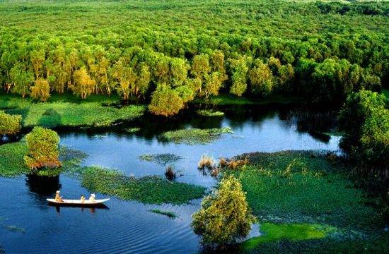 RỪNG TRÀM TRÀ SƯ – VẺ ĐẸP XANH NGẮT GIỮA LÒNG AN GIANG MỚI 11