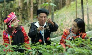 Người Dao Khâu với nghề thuốc Nam gia truyền 3