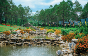 Rừng Thông Bản Áng 22