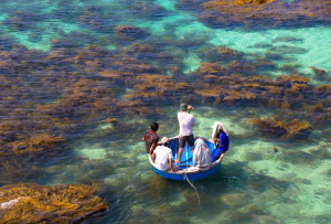 Tour trọn gói du lịch Hà Nội - Quảng Ngãi - Đảo Lý Sơn - 4 Ngày 5