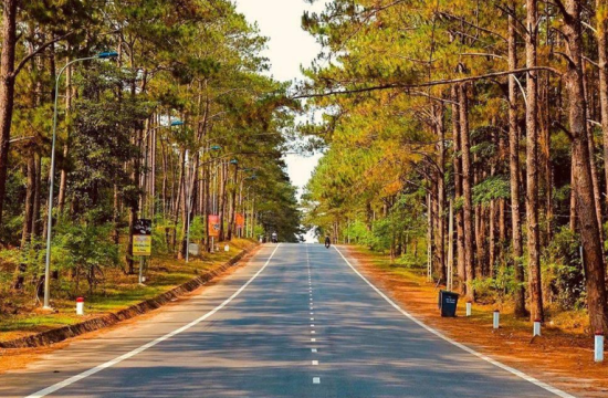 Rừng thông Măng Đen, hình ảnh Đà Lạt thu nhỏ trong lòng Kon Tum 35