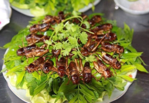 Dế chiên Kon Tum, món ăn đặc sản nổi tiếng ở vùng đất Tây Nguyên 7