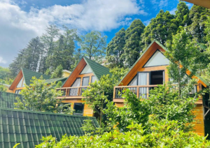 Sapa Pine Hill Eco Lodge 1