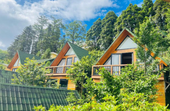 Sapa Pine Hill Eco Lodge 11