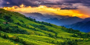 Nhà Nghỉ Tam Đường - Lai Châu 1