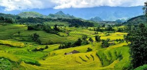 Tour Free&Easy khám phá Lai Châu 11