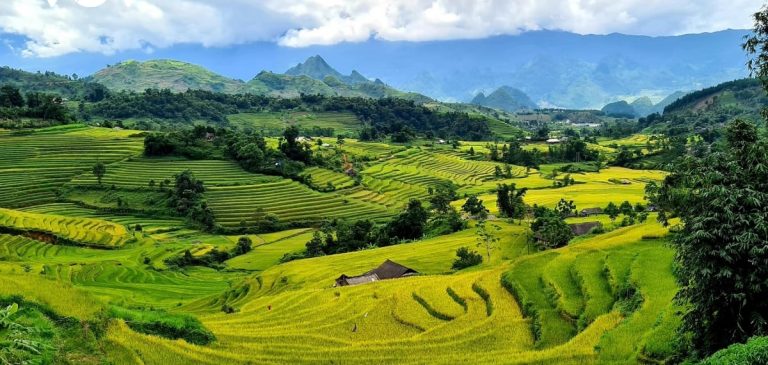 Tour Free&Easy khám phá Lai Châu