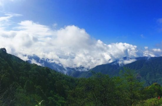 Khu bảo tồn thiên nhiên Mường Tè – Thiên đường ẩn mình giữa dãy núi Tây Bắc 6