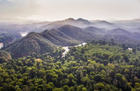 Vườn quốc gia Phú Quốc – Tuyệt tác xanh giữa đảo ngọc An Giang mới 9