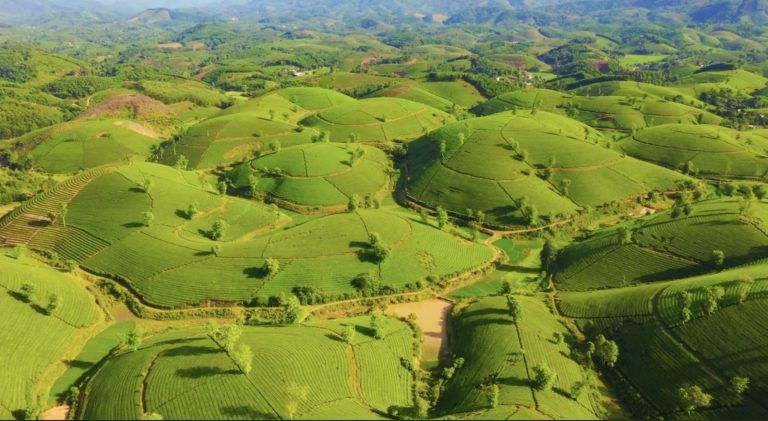 Tour 2N1Đ Khám phá Phú Thọ – Hòa mình vào cội nguồn thiên nhiên