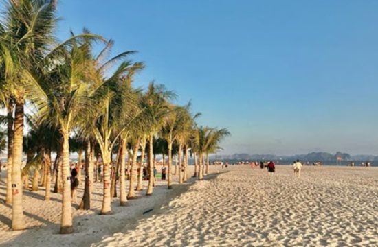 Halongtourism – Tour Hạ Long 2 ngày 1 đêm khám phá đảo Titop & Hang Sửng Sốt (giá từ ~1.580.000 đ) 13