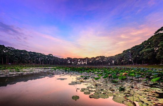 TOUR TỰ LÁI VĨNH LONG - 3 NGÀY 2 ĐÊM 29