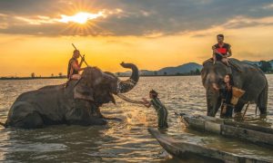 Khám phá Buôn Đôn - Vùng đất Voi và cầu treo huyền thoại 7